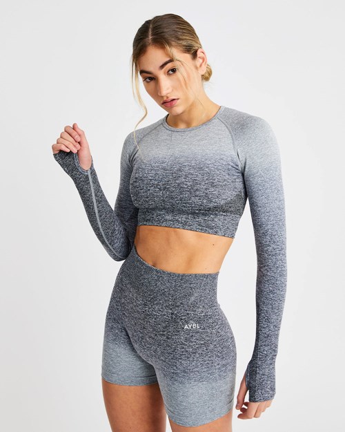 AYBL Pulse Ombré Seamless Long Sleeve Crop Top Szare | 704629-LEJ